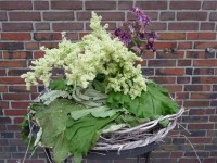 zomerfair 2010 023.jpg